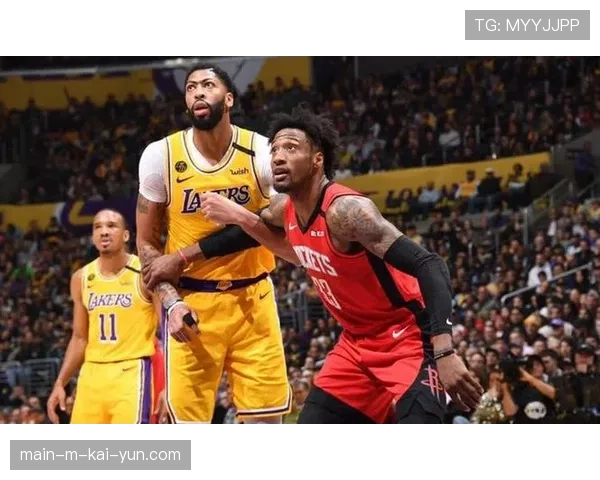 尼克斯兰德尔米切尔罗宾逊内线组合篮板控制力出色